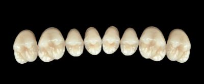 REF-Line R-Upper
