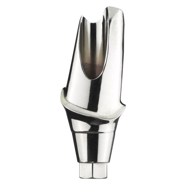Abutment