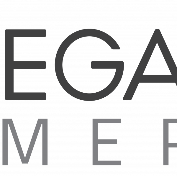 MegaGen America