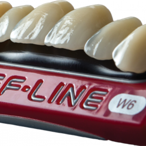 REF-Line