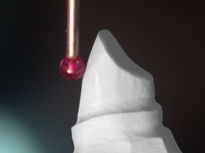 primopoly